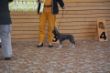 DSC_0792.JPG
